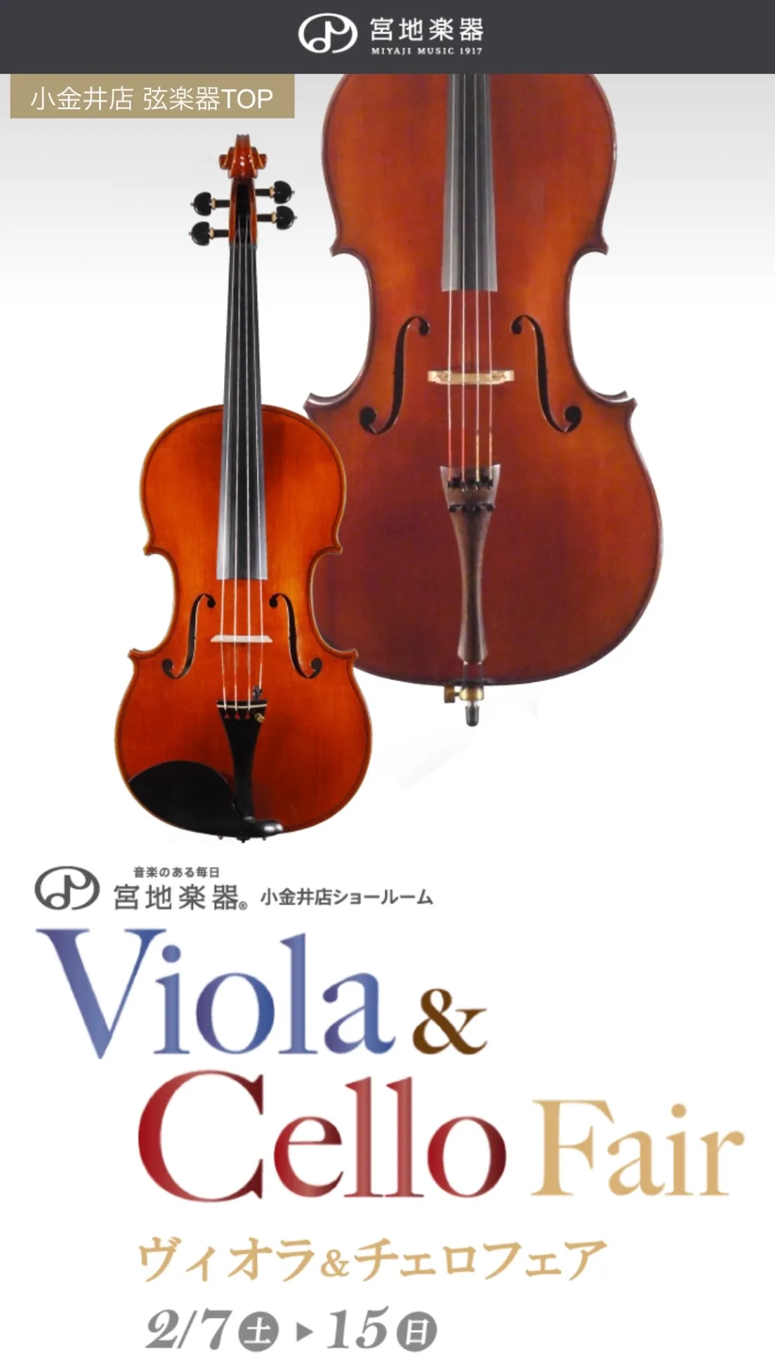 小嶋葵がコンサートで演奏する様子